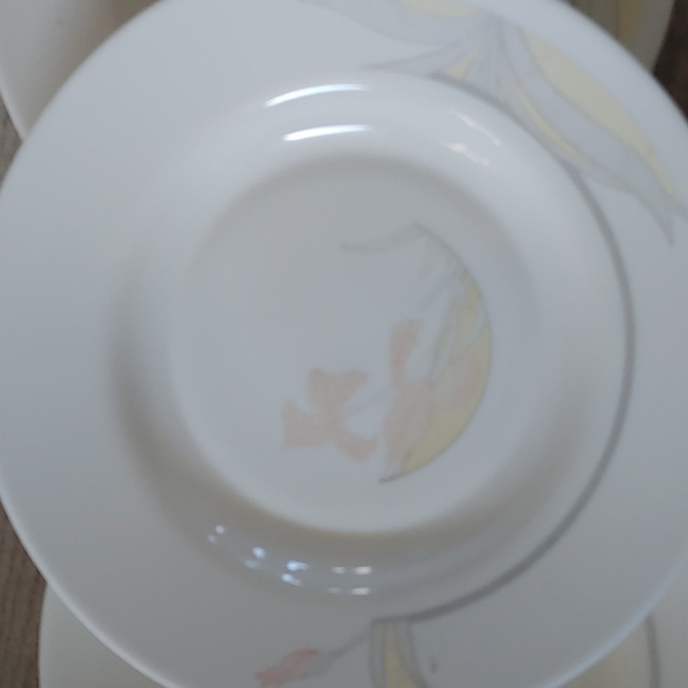 Two Acropal dinner plates - Picture 2 of 3